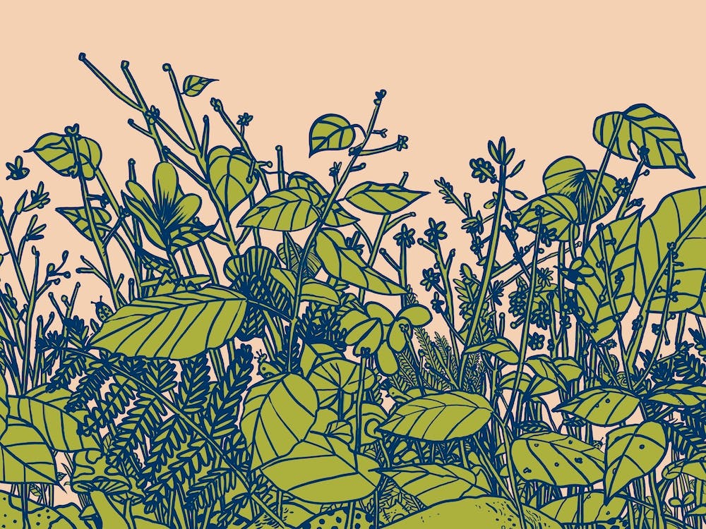 Floral Forest Growing Green