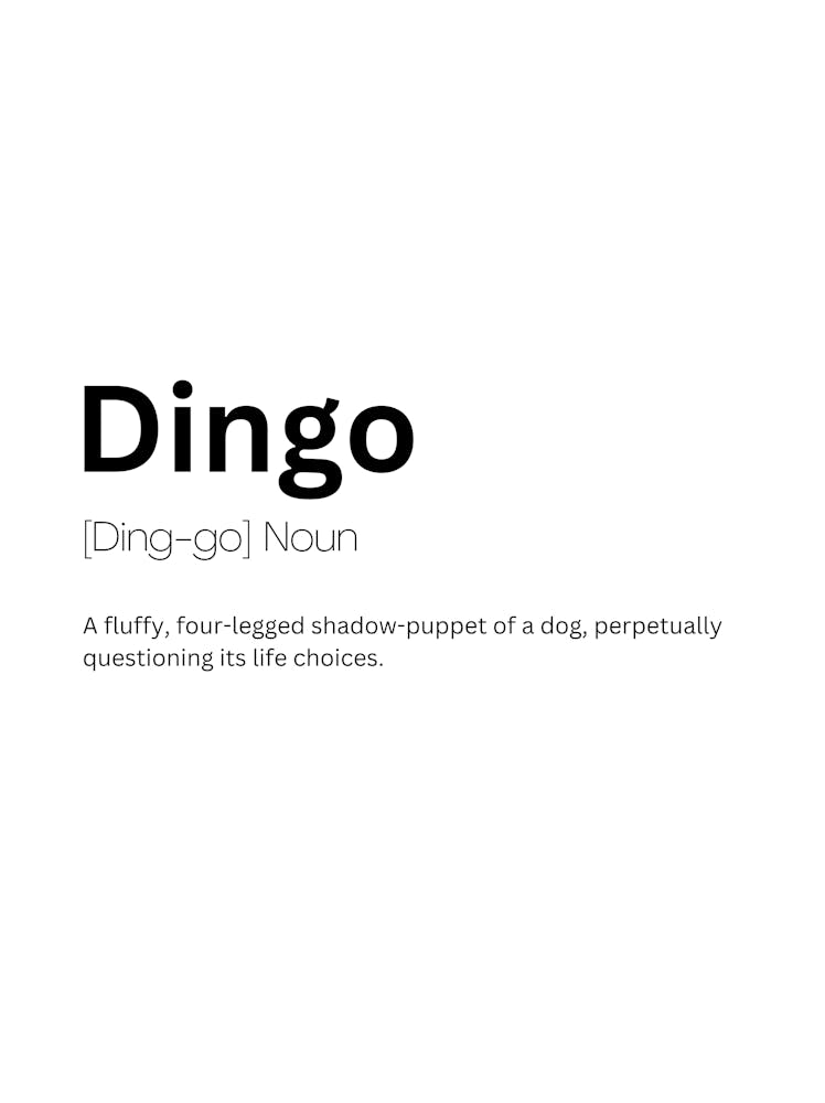 Dingo Definition Meaning 1