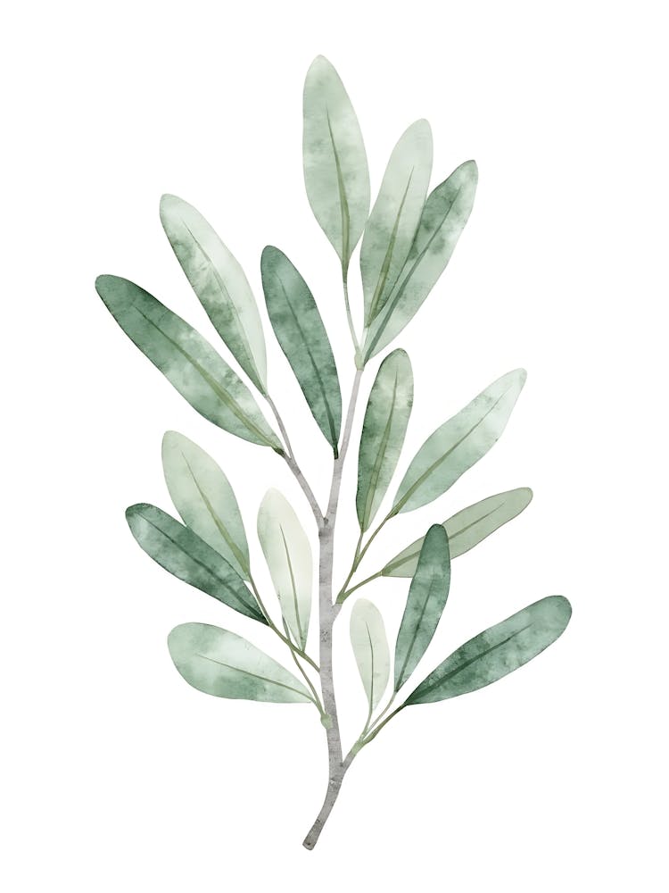 Elegant Sage Leaf Cascade