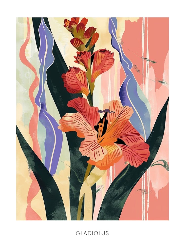 Colourful Flower Illustration Poster Gladiolus 3