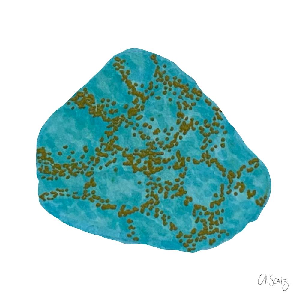 Turquoise Stone