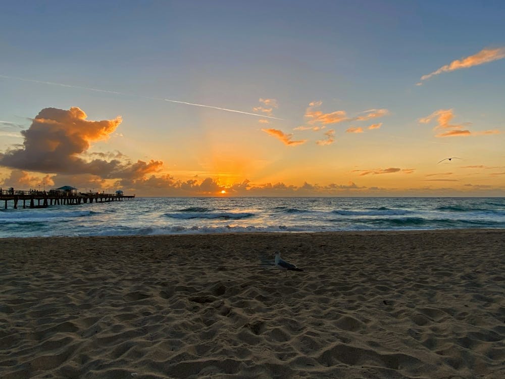 Coucher de Soleil À La Plage de Fort Lauderdale