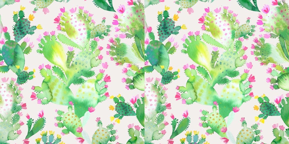 Succulent Cactus Soft Pink