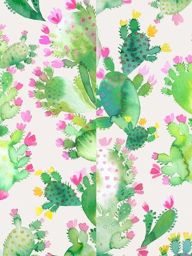 Succulent Cactus Soft Pink