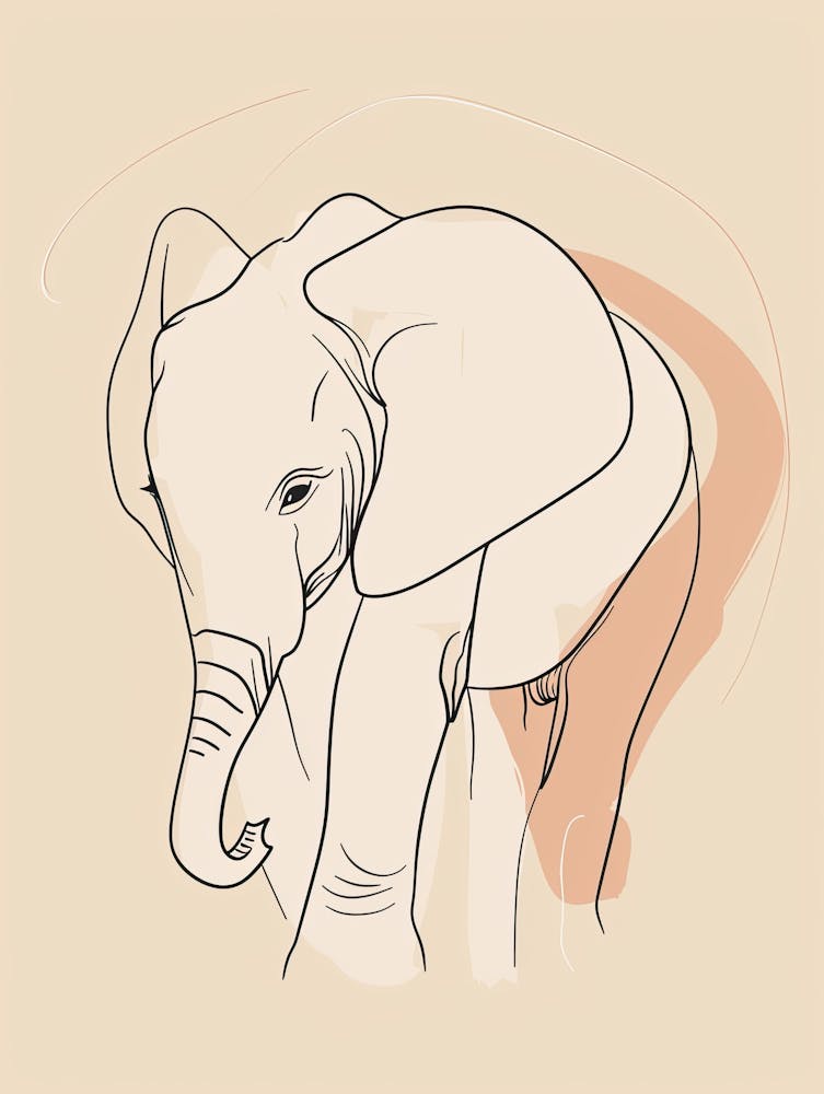 Baby Elephant - Boho, Line Art