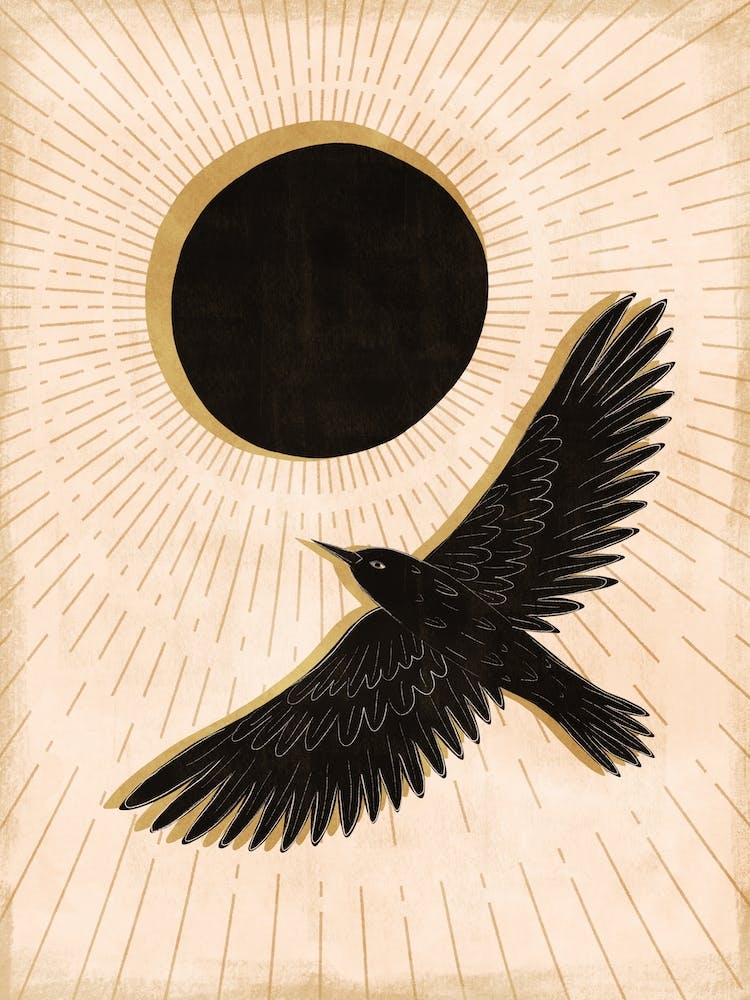 Raven And A Black Sun