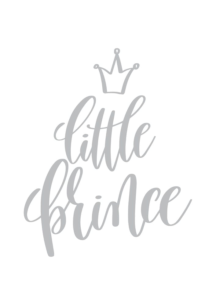 Little Prince Grey
