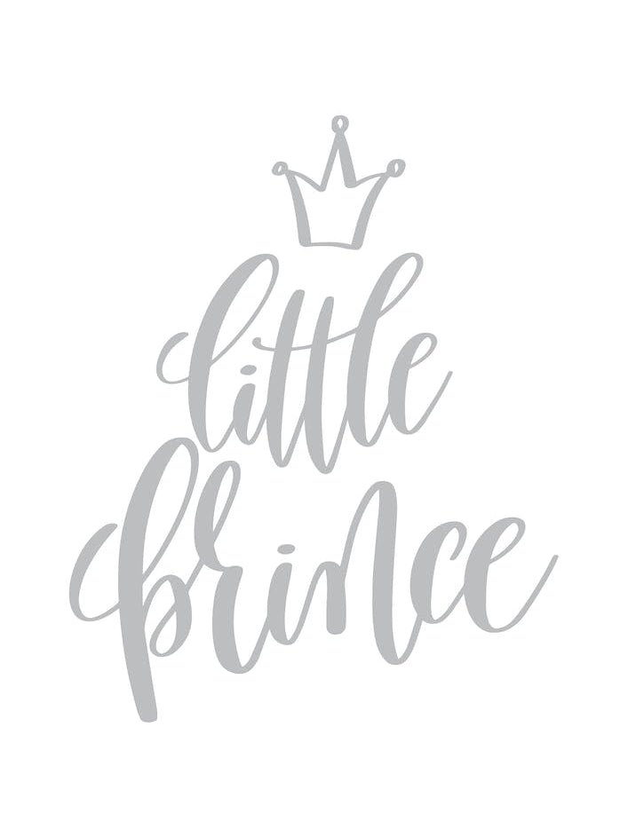 Little Prince Grey
