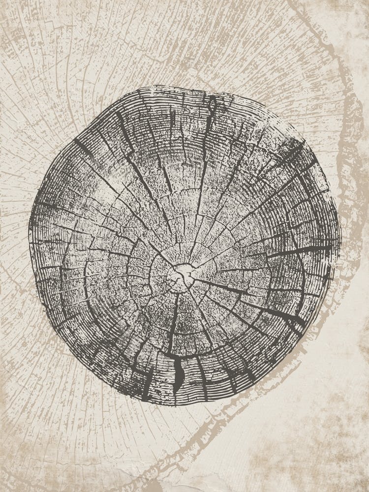 Beige Tree Ring Stump