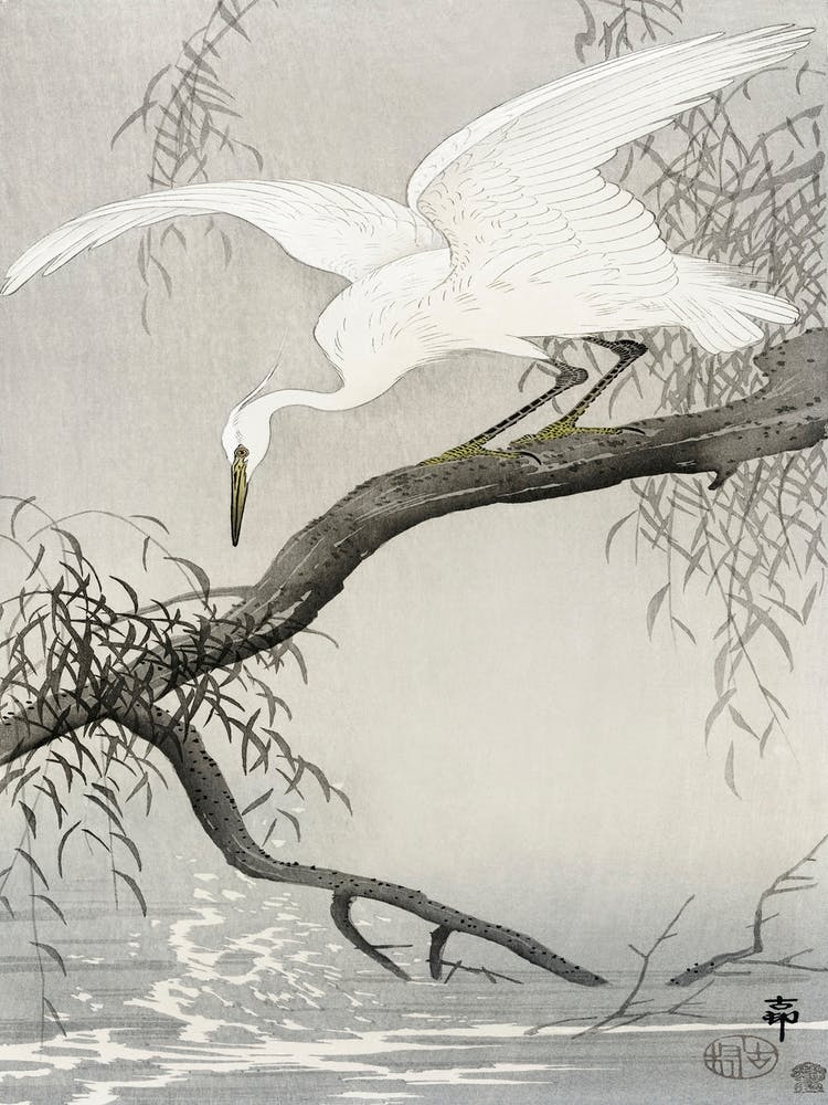 White Heron On Tree Branch (1900 1910), Ohara Koson