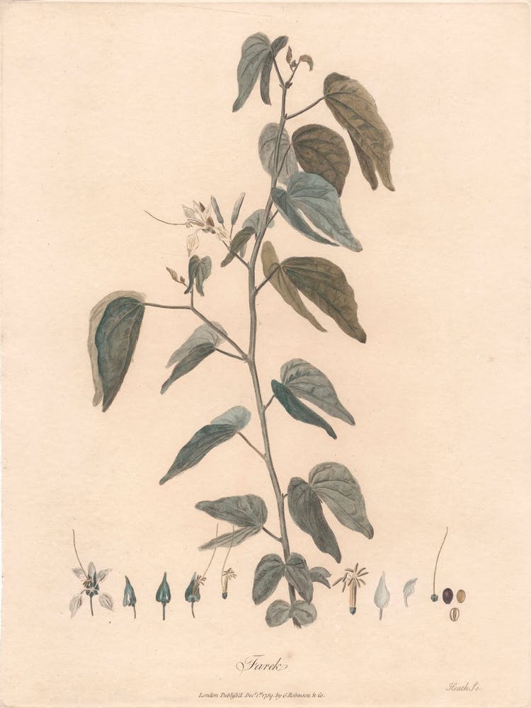 Farek (1789), James Heath