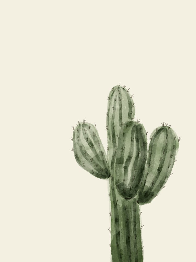 Cactus Watercolor Style