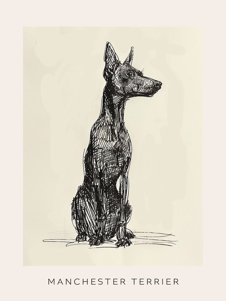 Manchester Terrier Dog Line Sketch 2 Poster