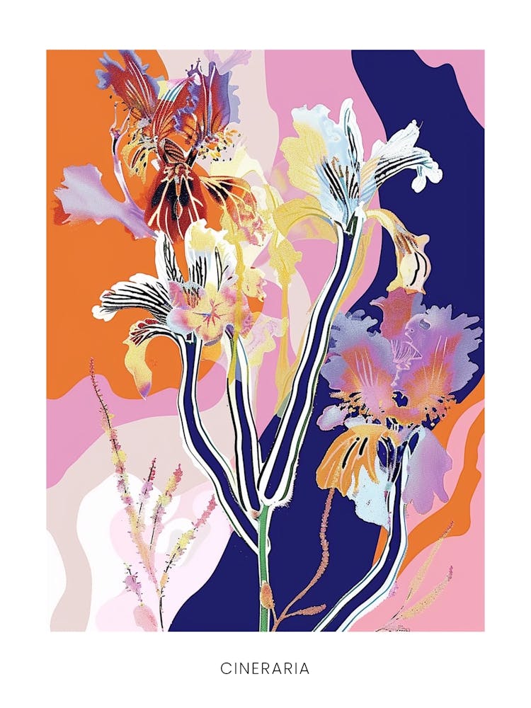 Farbenfrohe Blumenillustration Poster Cineraria 4