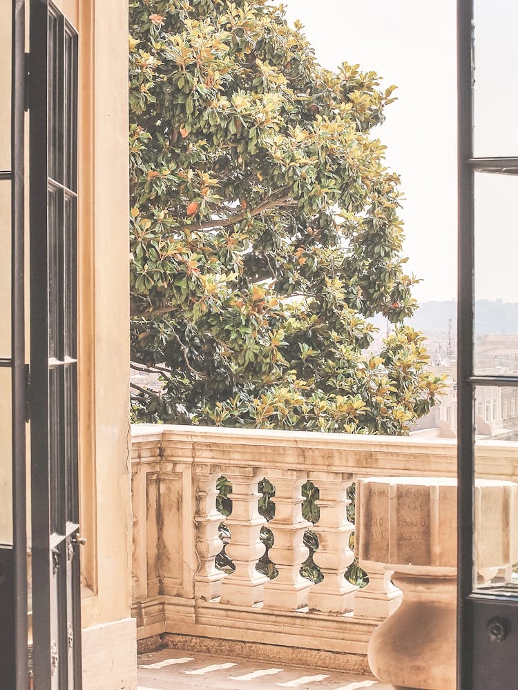 Rome, Italy I Open window overlooking the city from the Vatican Museum with golden light and summer trees roman architecture for a Mediterranean scene photography full of calm charm and la dolce vita