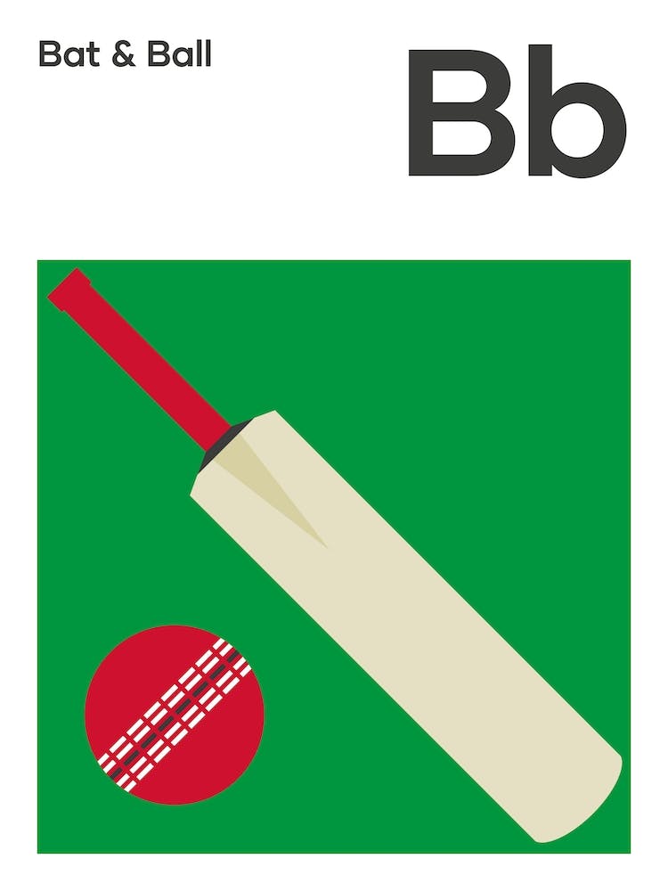 Cricket Bat & Ball