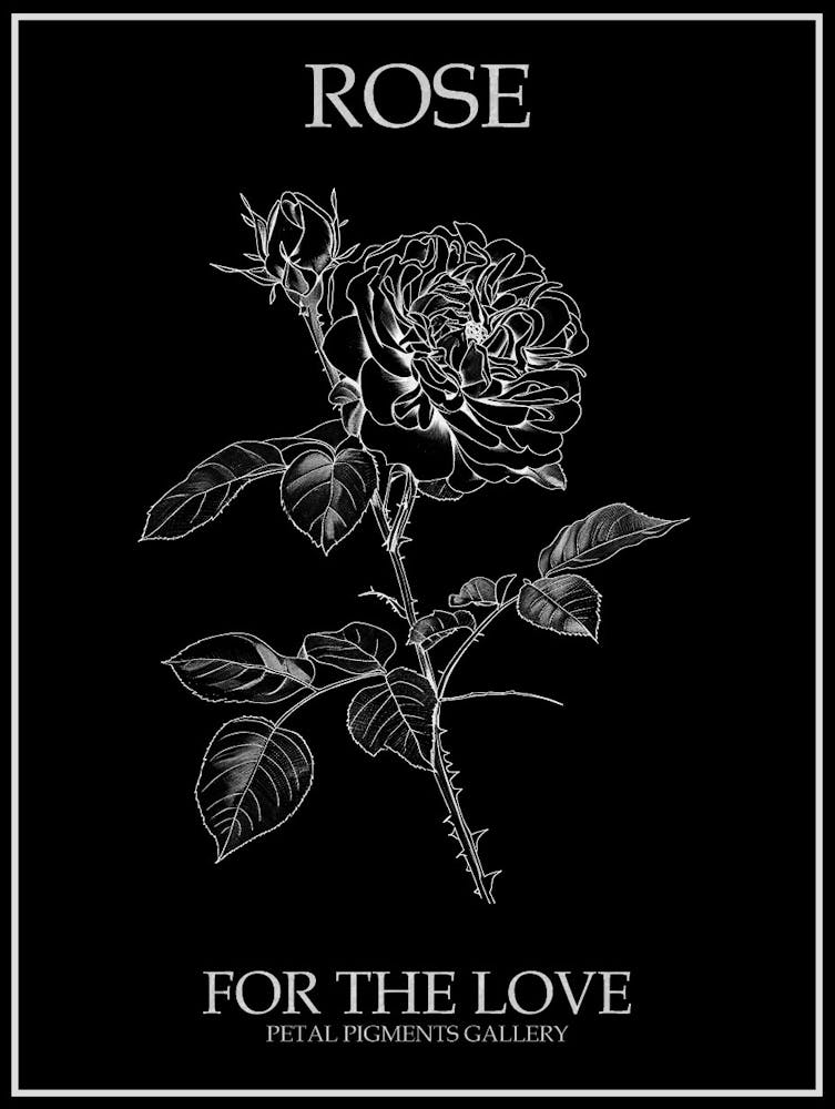 Black And White Rose Line Drawing 5 Poster Inverted