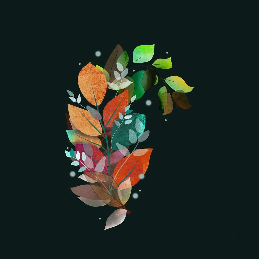 Autumn Leaves 1