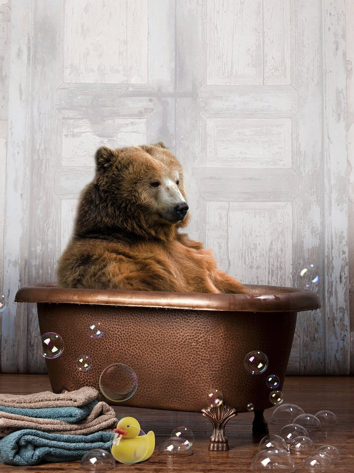 Bear In A Bathtub Bathroom