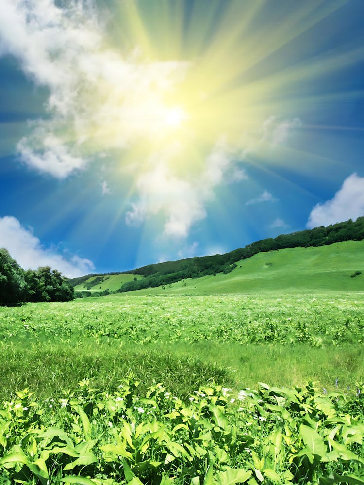 Sonniger Tag auf dem Land