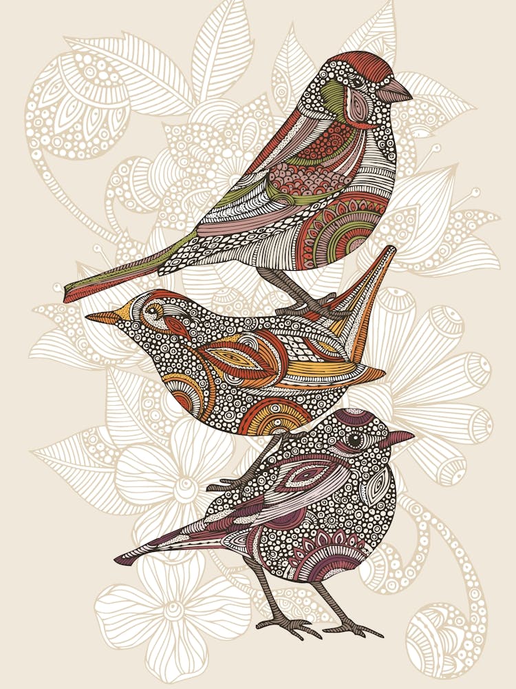 Three Birds