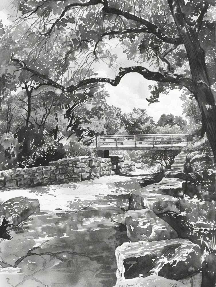 Nature Science Center Austin Texas Black And White Watercolour 2