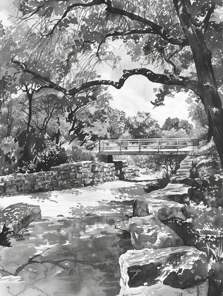 Nature Science Center Austin Texas Black And White Watercolour 2