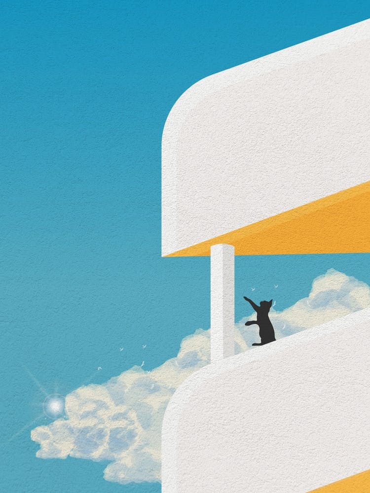 Minimal art Funny Cat On Balcony