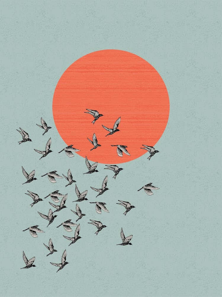 Bird Flock & Sun - Blue & Orange