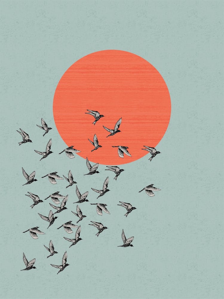 Bird Flock & Sun - Blue & Orange