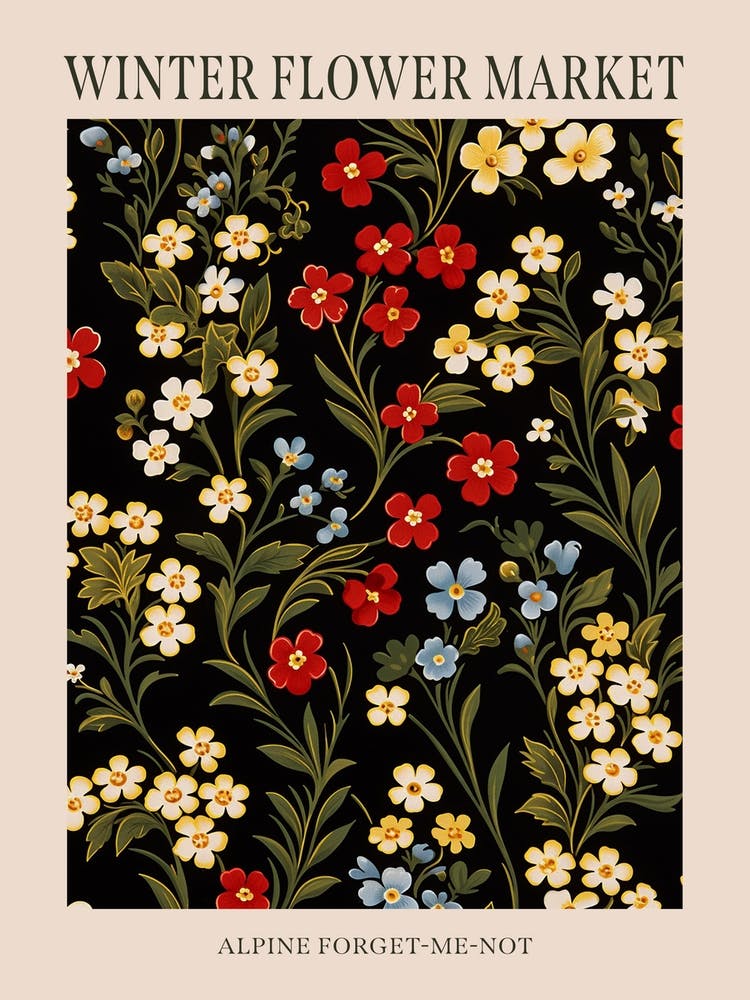 Alpine Forget Me Not 4 Winter Flower Market Poster