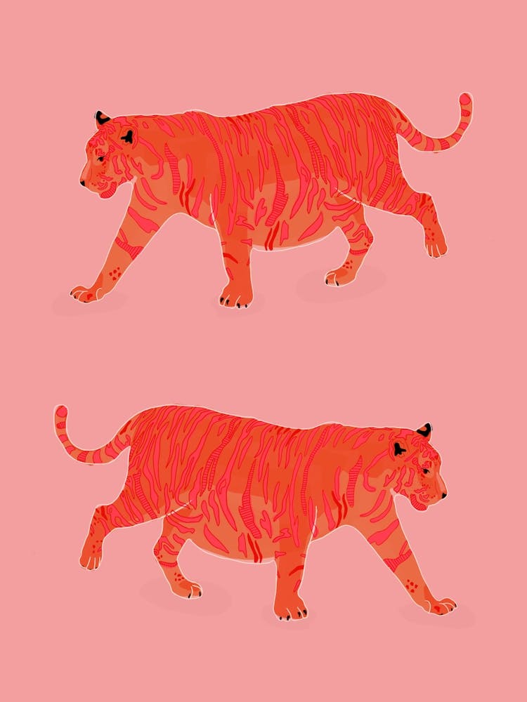 Illustration De Tigre