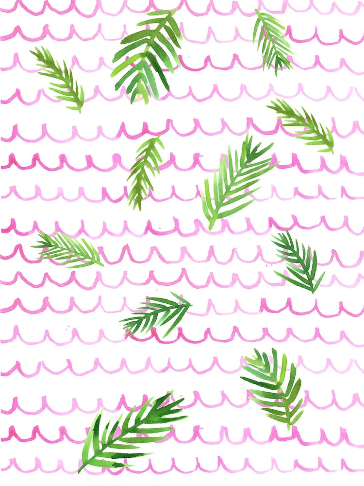 Pink Scallop And Palms