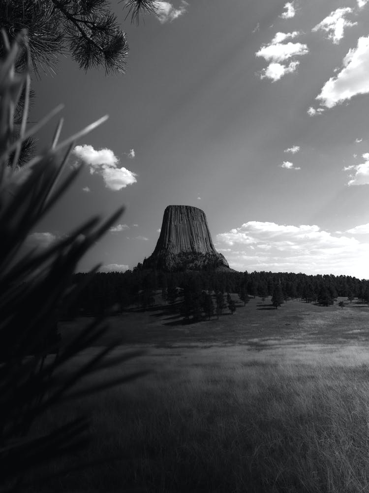 Devils Tower also known as Bears Lodge in Wyoming seen from a meadow and framed by trees