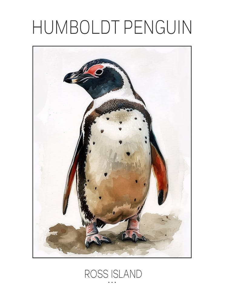 Humboldt Penguin Ross Island Watercolour Painting 3 Poster