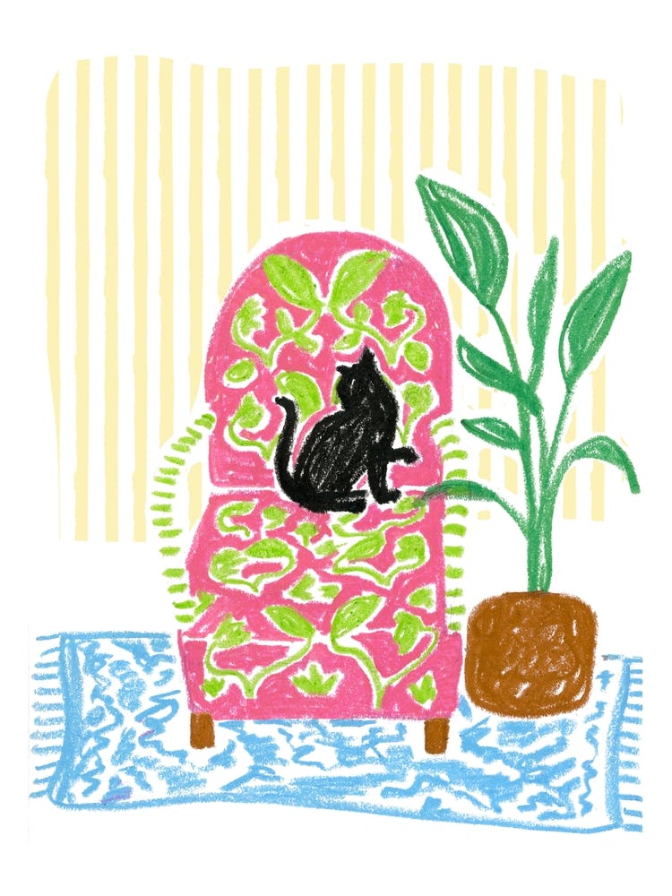 Cat On Chair