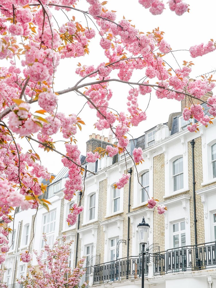 London Architecture In Spring