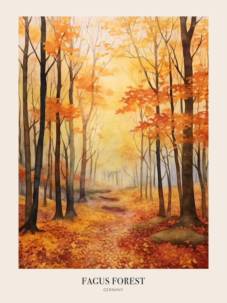 Autumn Forest Landscape Fagus Forest Germany Poster