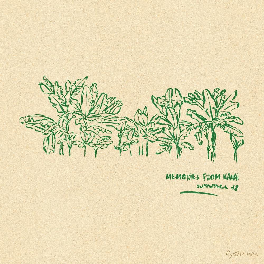 Memories From Kauai Square