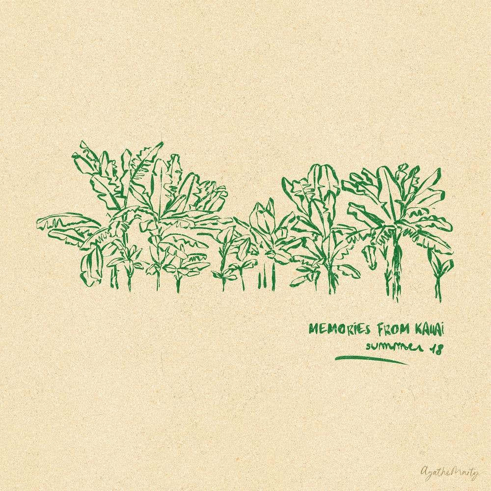 Memories From Kauai Square