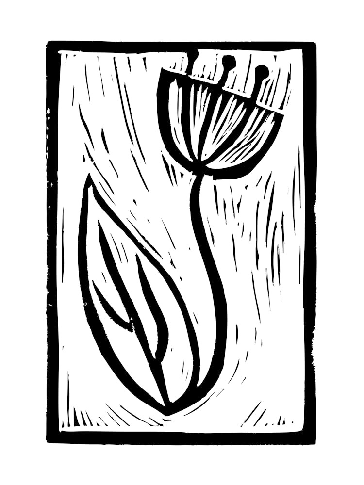 Coquelicot Surprise Gravure sur Linoléum