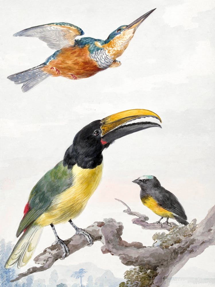 Vintage Bird_2835721