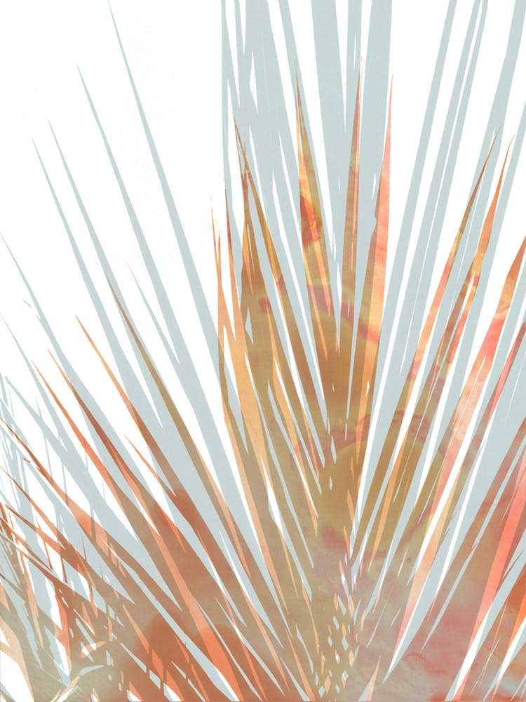 Coral Steel Blue Palm
