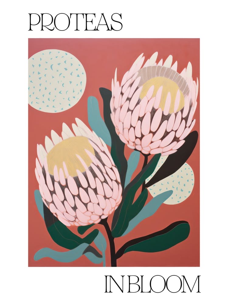 Proteas In Bloom Flowers Bold Illustration 3
