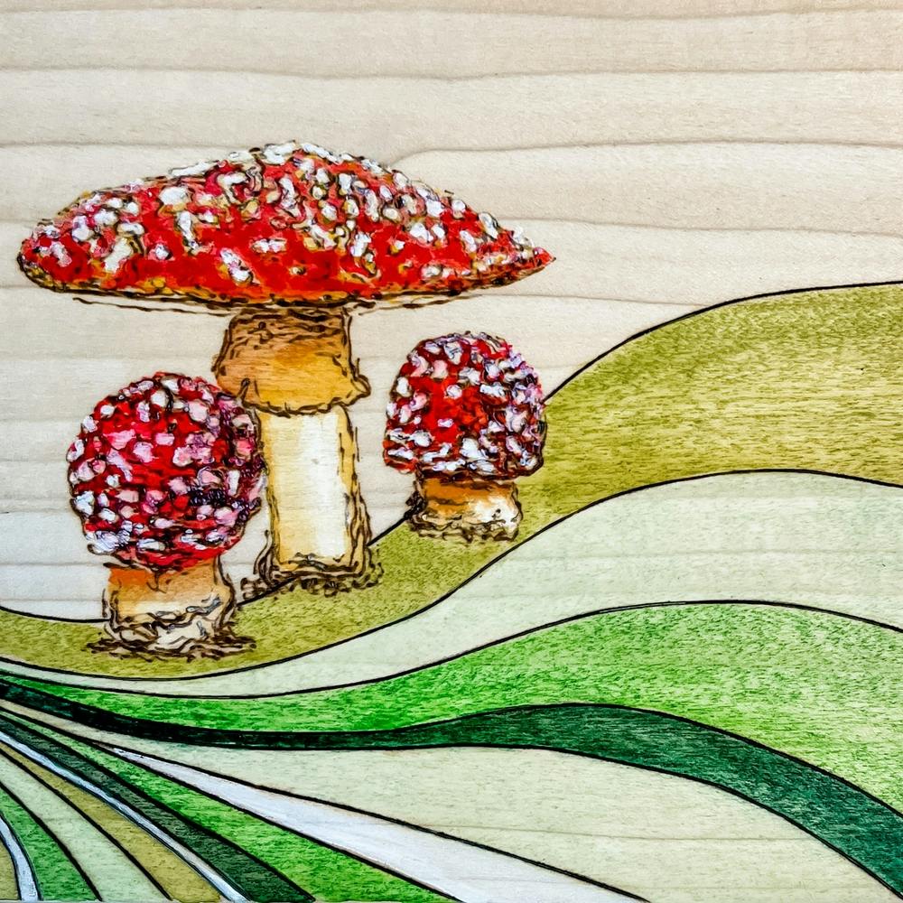Mushrooms On A Hill