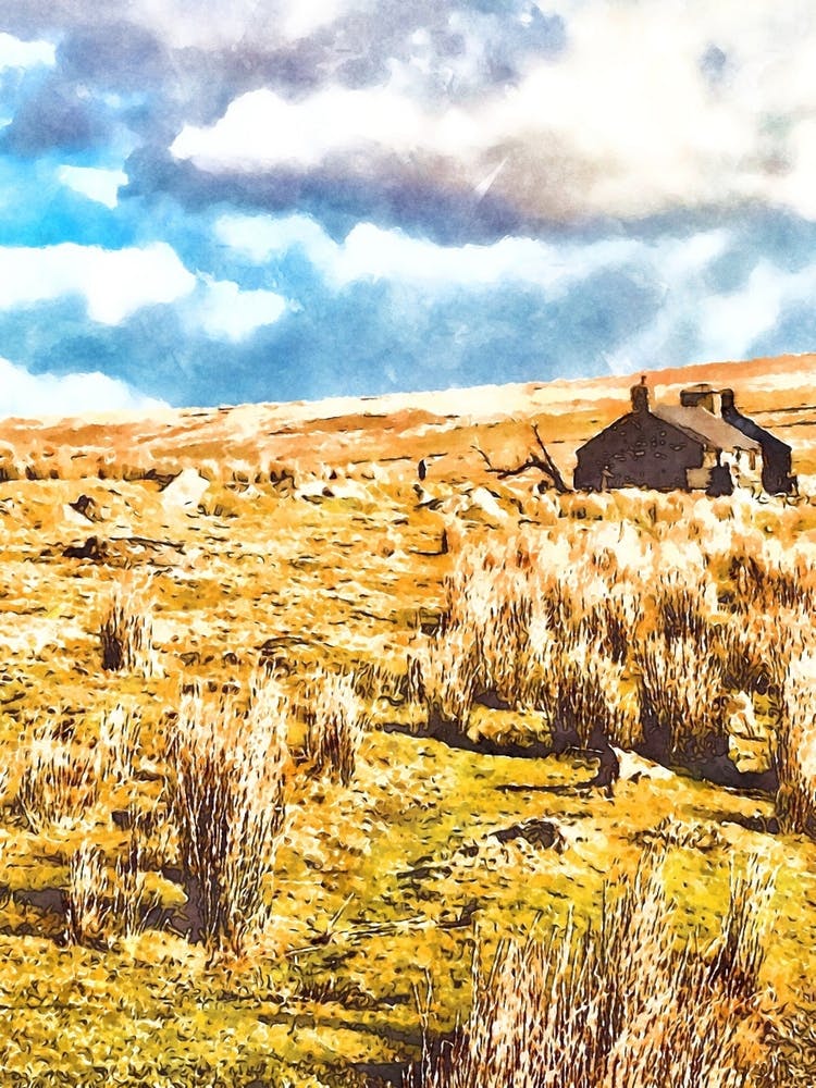 House On Dartmoor 2