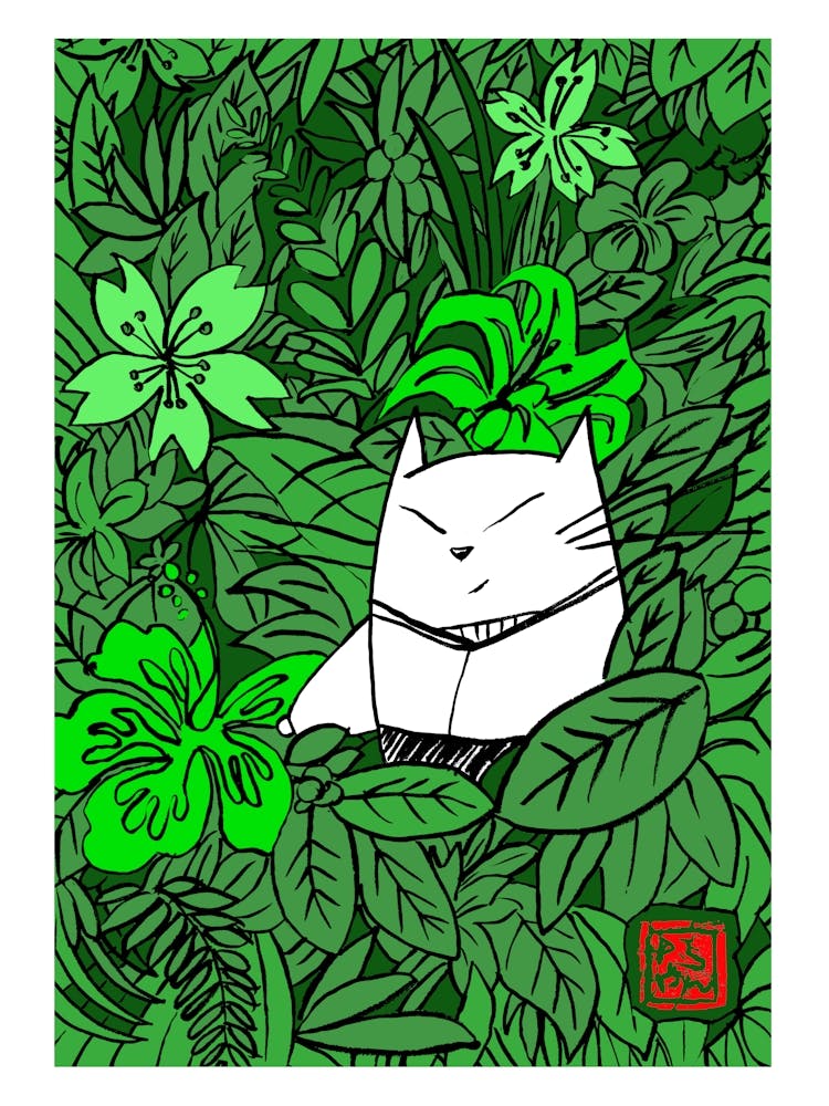Momoneko Jungle Couleur