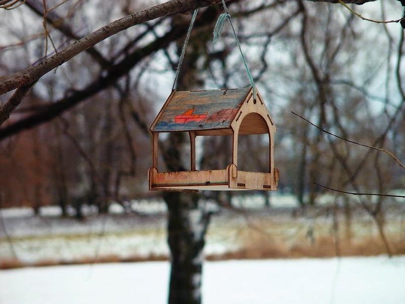 Bird Feeder