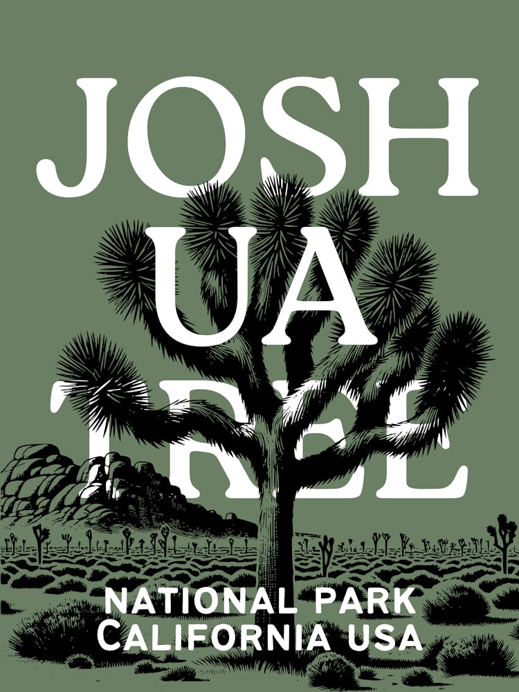 Joshua Tree National Park | California Desert Travel Landscape Scenery 4