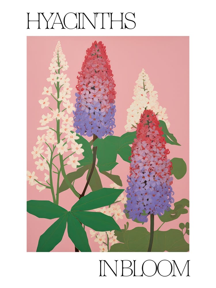 Hyacinths In Bloom Flowers Bold Illustration 1